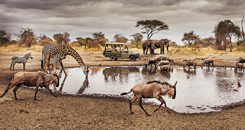 Kenya & Tanzania Cross-Border Safari (Mara/Serengeti)