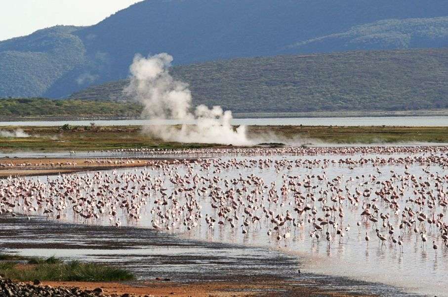 The Great Rift Valley Lakes Explorer Safari