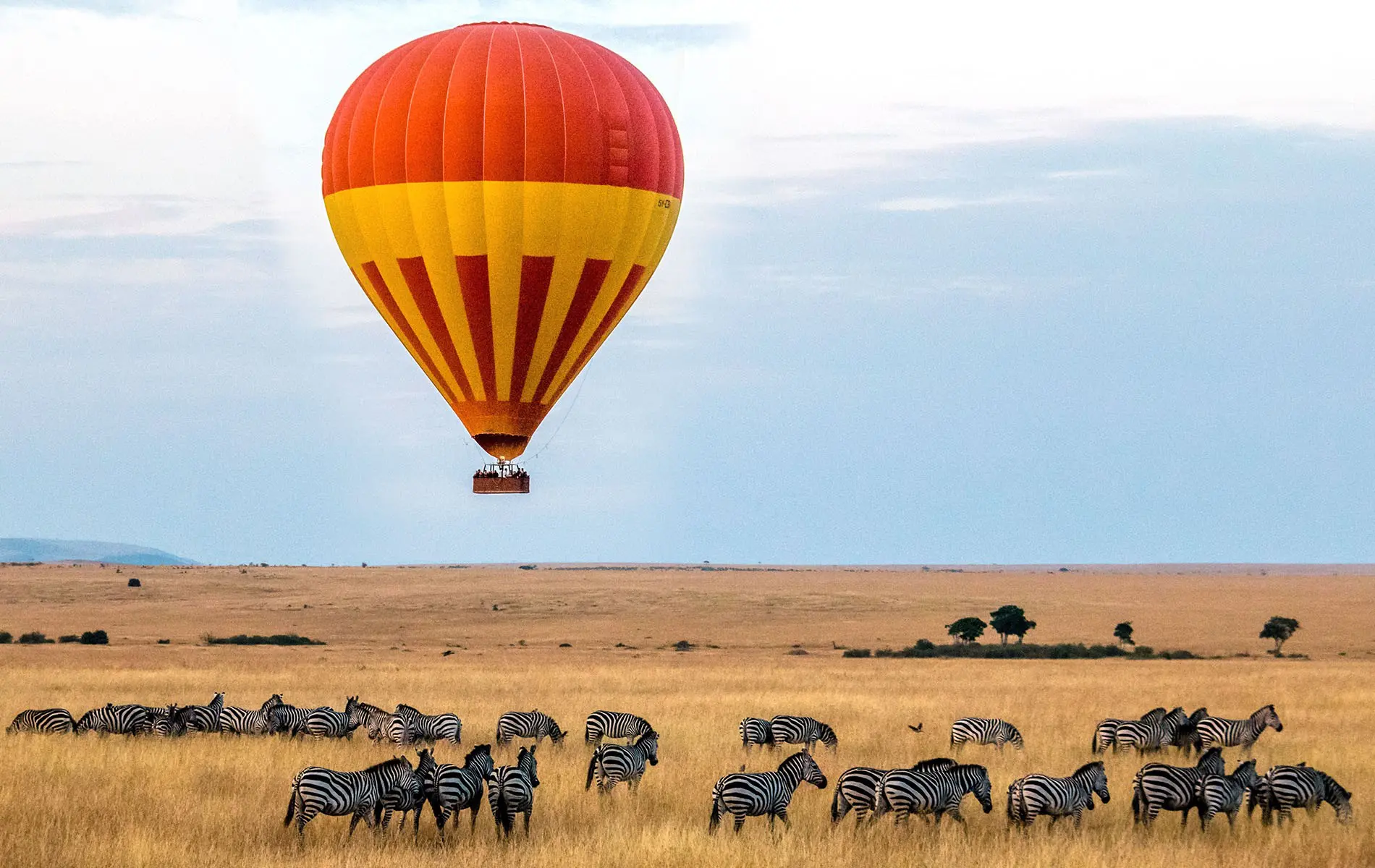 Masai Mara Hot Air Balloon & Bush Breakfast