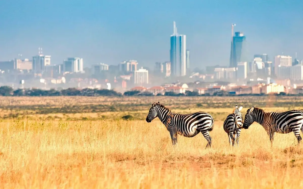 Nairobi National Park Half-Day Safari