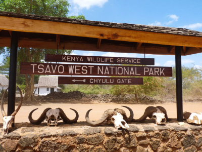 Tsavo East & West 'Man-Eaters' Safari